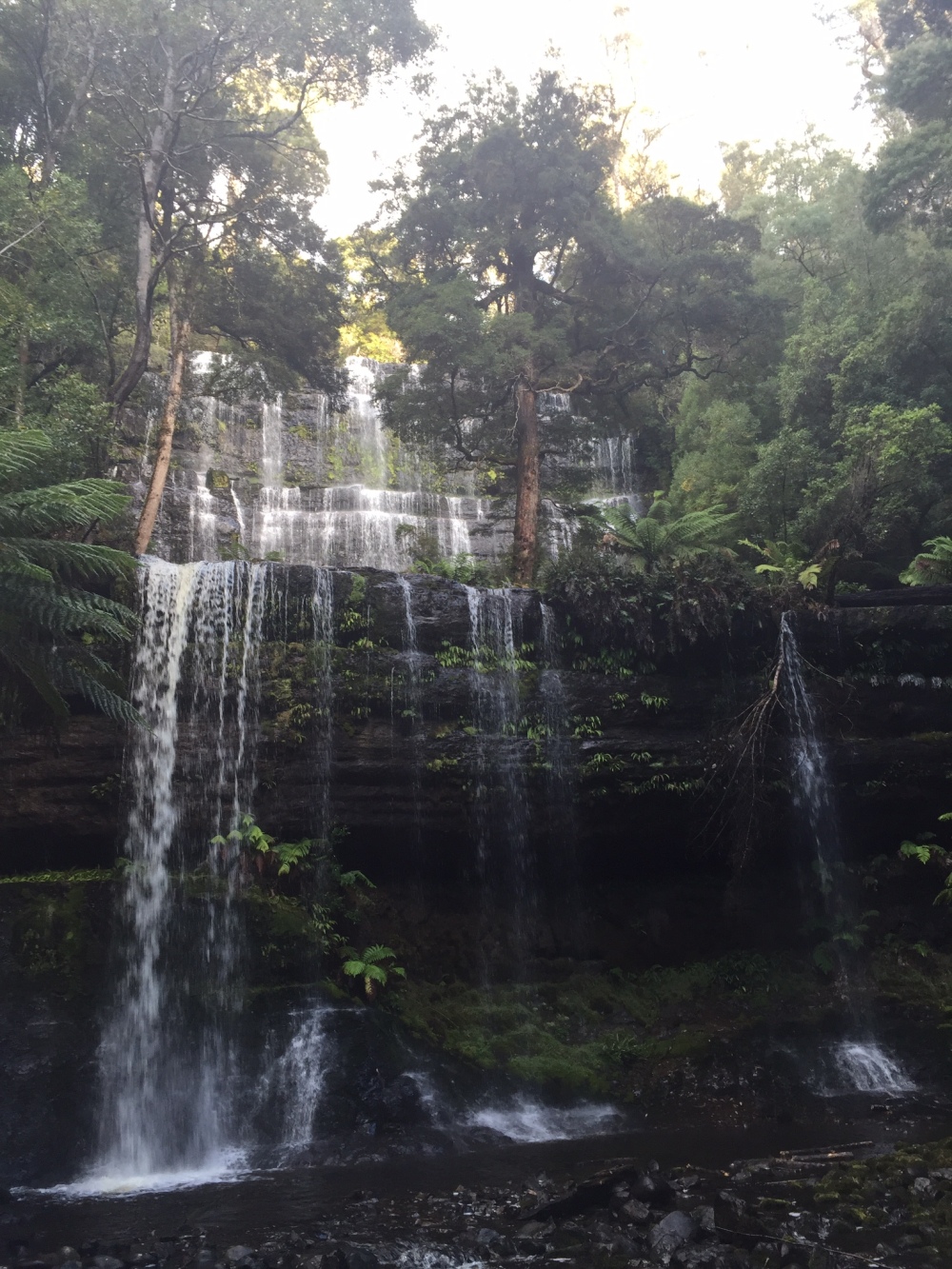 Russell Falls in Mount Field National Park.